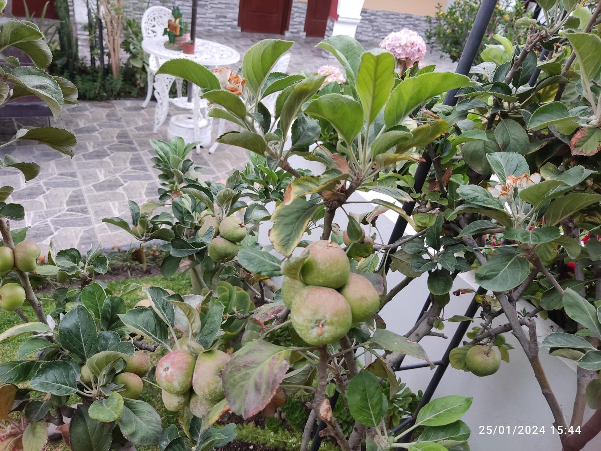ホテル Casa Baraquel アレキパ エクステリア 写真