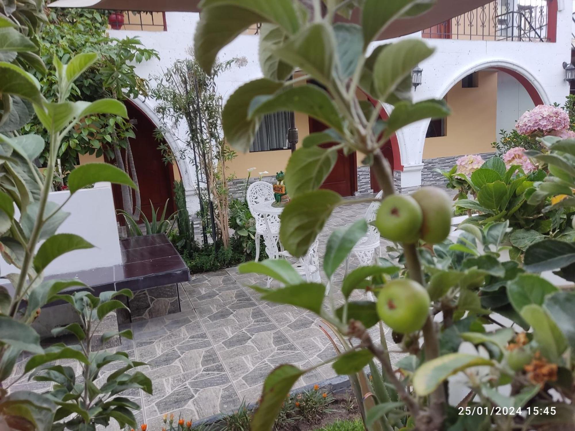 ホテル Casa Baraquel アレキパ エクステリア 写真
